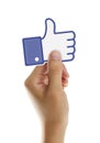 Facebook Like Button