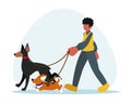 Faceless guy volunteer walking with dogs illustration