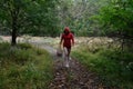 Haunting Faceless Mystical Little Red Riding Hood Walking Through The Woods with a picnic basket. Royalty Free Stock Photo