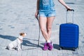 A faceless woman in shorts and sneakers is walking with luggage in hands and a puppy Jack Russell Terrier on a leash Royalty Free Stock Photo