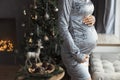 Faceless womans pregnant belly in velvet grey evening dress closeup in cozy home interior on Christmas tree background Royalty Free Stock Photo