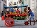 Faces Of Cuba Fruit Cart Vendor