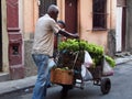 Faces Of Cuba Vegetable Cart Vendor Royalty Free Stock Photo