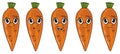 Faces of five carrots