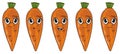 Faces of five carrots Royalty Free Stock Photo