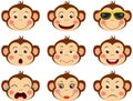 Faces of monkeys with feature a different expressions Royalty Free Stock Photo