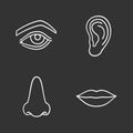 Facial body parts chalk icons set Royalty Free Stock Photo