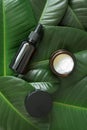 Facial hyaluronic serum fluid dropper and moisturizer cream in brown glass bottle and jar on freshness green tropical leaves