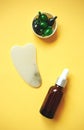 Facial massage kit. gua sha massager, serum, capsules and flower