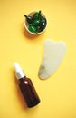 Facial massage kit. gua sha massager, serum, capsules and flower