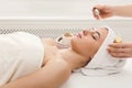 Woman getting professional facial massage at spa salon Royalty Free Stock Photo