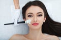 Facial Skin Care. Beautiful Woman Getting Cosmetic Mask In Salon Royalty Free Stock Photo