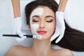 Facial Skin Care. Beautiful Woman Getting Cosmetic Mask In Salon Royalty Free Stock Photo