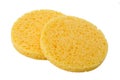 Facial sponge