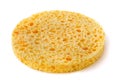 Facial Sponge