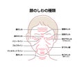 Facial wrinkles  female face  vector illustration / Japanese Royalty Free Stock Photo