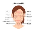 Facial wrinkles ( female face ) vector illustration / Japanese Royalty Free Stock Photo