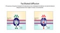 Facilitated Diffusion through a specific or non specific transporter protein. Passive Transport.