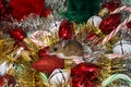 Side view of a wild brown house mouse, Mus musculus, perched on a red Christmas bulb in the middle of a pile of decorations. Royalty Free Stock Photo