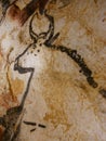 Facsimile reproduction of an auroch from Lascaux cave in Dordogne Royalty Free Stock Photo