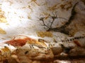 Facsimile reproduction of deer drawing from Lascaux cave in Dordogne