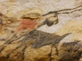 Facsimile reproduction of drawing of a unicorn from Lascaux cave in Dordogne