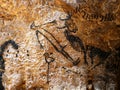 Facsimile reproduction drawings of of the man of the well with the head of a bird to Lascaux cave in Dordogne