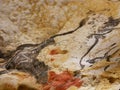 Facsimile reproduction drawings of the walls of the Lascaux cave in Dordogne