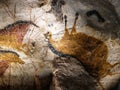 Facsimile reproduction upside down horse from Lascaux cave in Dordogne Royalty Free Stock Photo