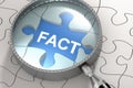 Fact word on the puzzle and under the magnifying glass Royalty Free Stock Photo