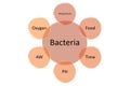 Factors that affect bacterial