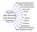 Factors That Determine Life Insurance Premium
