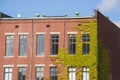 Factory building with ivy growing up corner of building Royalty Free Stock Photo