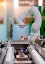 COBOT (Collaborative Robot) with air gripper in automation machine