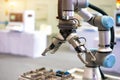 Cobot (Collaborative Robot) with 2 way gripper
