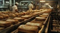 A factory filled with rows of freshly baked loafs of bread ready for distribution Royalty Free Stock Photo