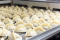 Factory kitchen producing fresh dumplings Royalty Free Stock Photo