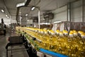Factory for the production of edible oils. Shallow DOFF. Ukraine