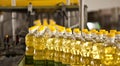 Factory for the production of edible oils. Shallow DOFF. Ukraine