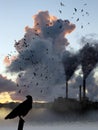 Factory Smoke Vs Birds Escape Royalty Free Stock Photo