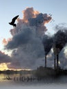 Factory Smoke Vs Birds Escape Royalty Free Stock Photo