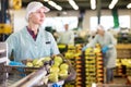 Factory workwoman carrying box with fresh ripe apples Royalty Free Stock Photo