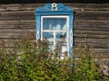 Fade flowers in the garden under the window Royalty Free Stock Photo