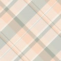 Fade texture textile fabric, rich pattern seamless check. Size vector background tartan plaid in light and linen colors