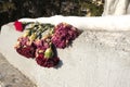 Faded carnations at the memorial in winter