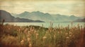 Vintage Polaroid Of Rumex Crispus Field And Mountains