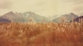 Vintage Polaroid Of Rumex Crispus Field And Mountains