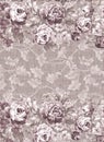Faded floral pattern Royalty Free Stock Photo