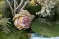 Faded flowers close up. Bouquet of pink roses and turquoise chrysanthemums Royalty Free Stock Photo