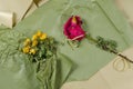 Faded flowers opposite the green and beige background. A bouquet of dried yellow roses and a red rose with a gold ribbon Royalty Free Stock Photo